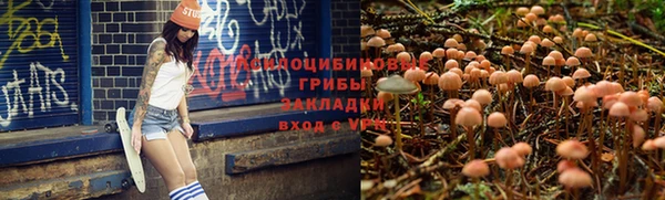 PSILOCYBIN Аркадак