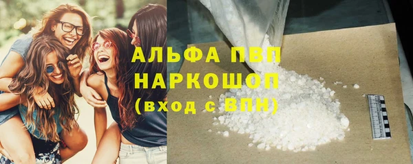 прущие грибы Алзамай